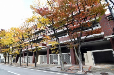 夙川上流の邸宅街で穏やかな暮らし。