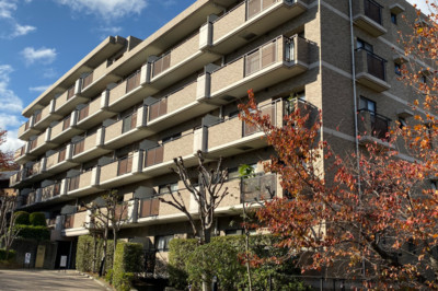 山の緑を背景に、自然をみじかに感じながらの暮らし。